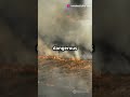 Firefighters combat a new wildfire in southern California