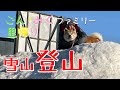 ごん・みくファミリー里帰り　雪山登山　秋田犬【ごん・みく チャンネル】