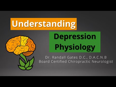 Understanding Depression Physiology