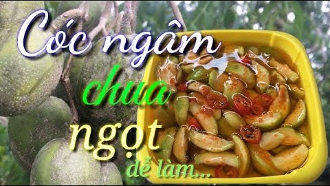 Làm món cóc ngâm chua ngọt ăn là nghiền|| món ăn vặt|| ẩm thực miền Tây