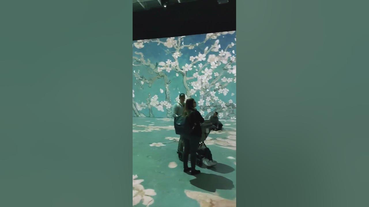 Van Gogh SLC YouTube