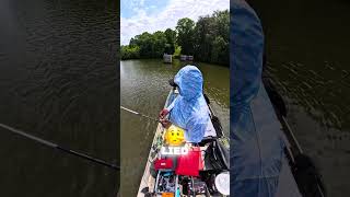 Whoever Whoever said these fish don’t bite on the bottom lied. #catchforbean #bassfishing #crappie