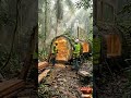 🌿 He Built a Secret Luxury Cabin Inside a Giant Tree Log 😱🏡|Jungle Transformation Magic ✨ #trending#