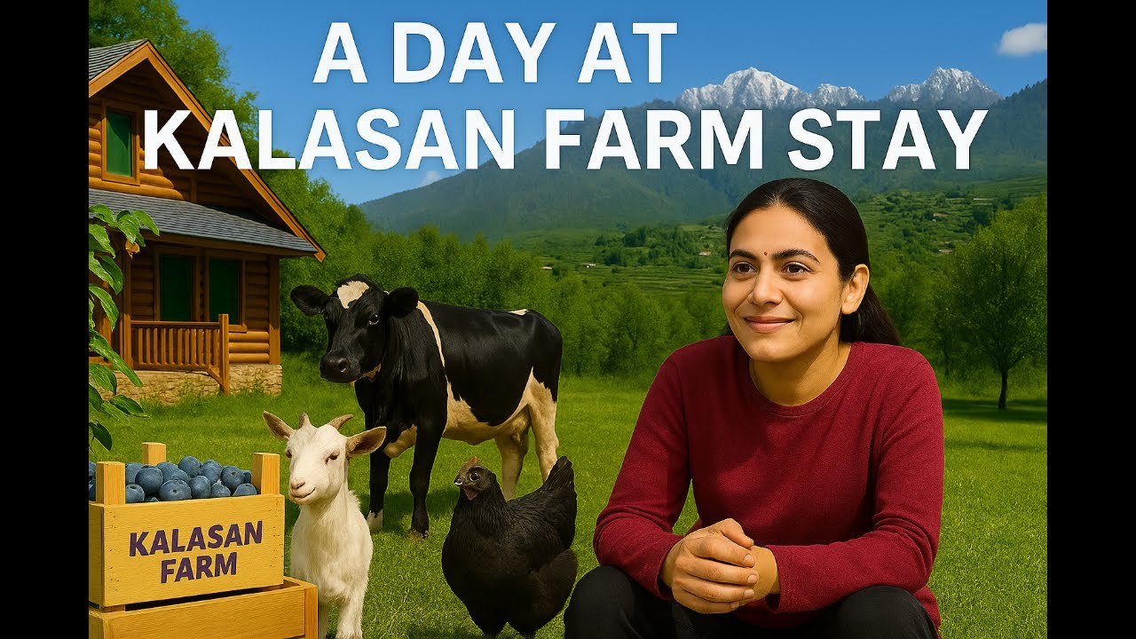 Is Kalasan Farm Stay the Best Way to Experience Farm Life and Apple Picking?