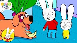 My Pet's at the Vet!  Simon and Family | Simon S2 Episodes | Cartoons for Kids | Tiny Pop