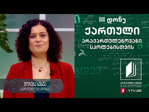 ქართული ენა არაქართულენოვანი სკოლებისთვის, III დონე - მერვე გაკვეთილი #ტელესკოლა