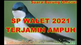 SP Walet 2021 suara panggil walet paling ampuh