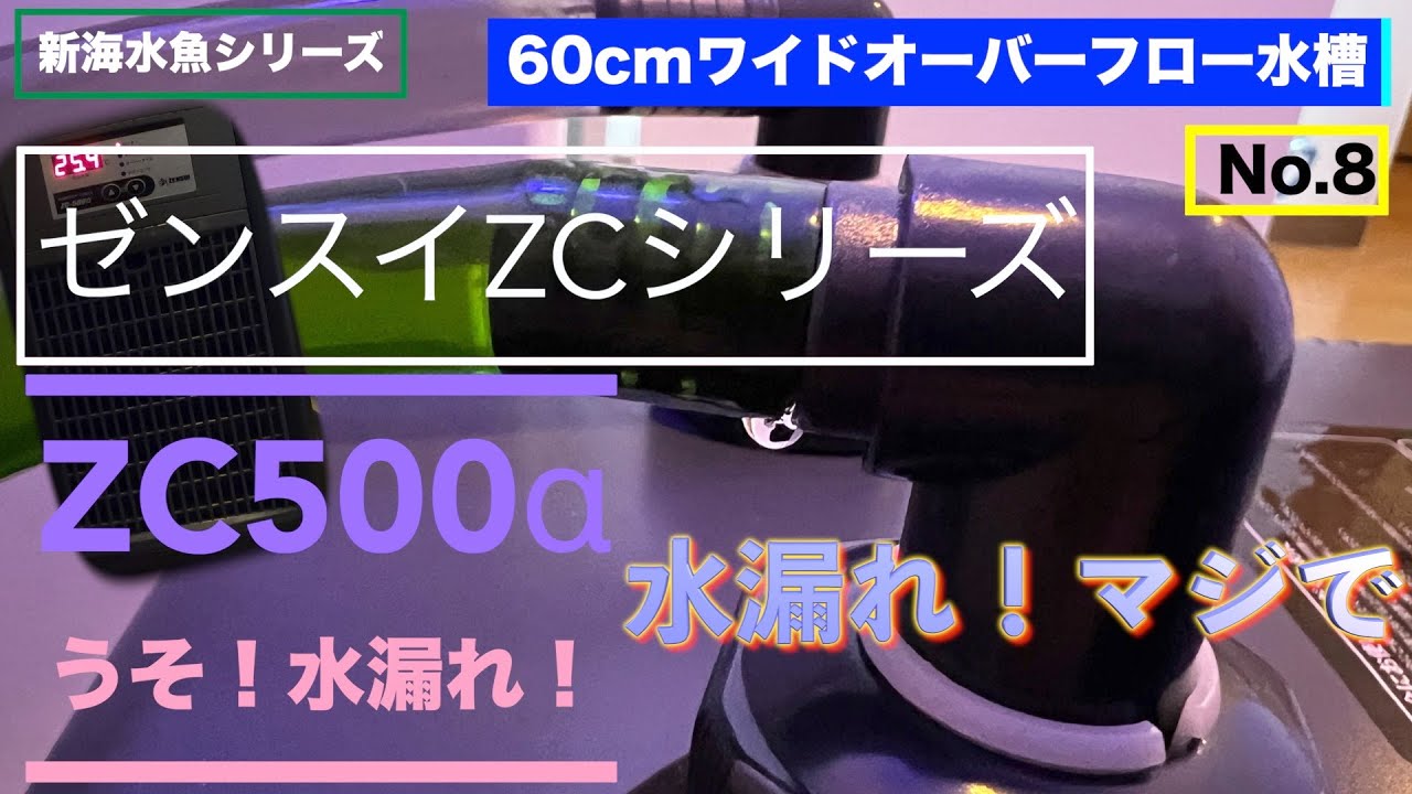 2023年5月11日 ゼンスイ ZC500α クーラー 水漏れ 新 海水魚水槽 60センチワイド オーバーフロー水槽 No.8