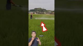 Sprayer 5 Meter, Pekerjaan Lebih Cepat