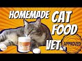 Balanced tasty homemade cat food recipe