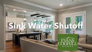 How to shut off the water at a sink with Push to Open, Pull to Close valves