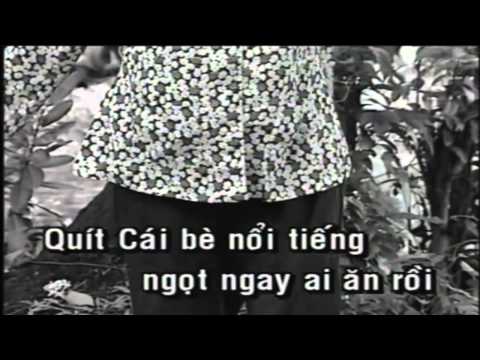 Karaoke Hanh Trinh Tren Dat Phu Sa   Phi Nhung