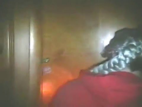 COPS: Episode 2