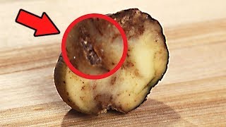 Популярные продукты, которые вызывают самую сильную зависимость Популярные продукты, которые вызывают самую сильную зависимость