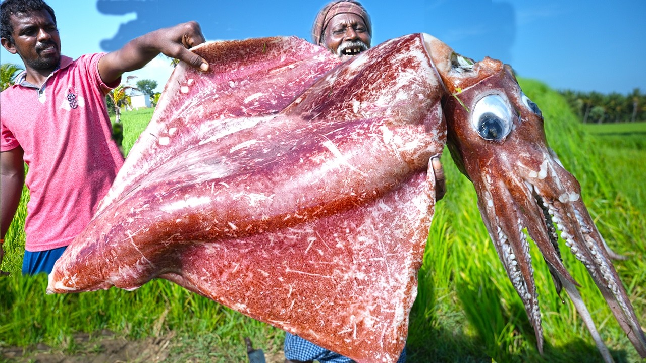 MONSTER GHOST RED SQUID | கடல் பேய் | World Rare Fish | Cutting and Cooking  Squid | Village Grandpa