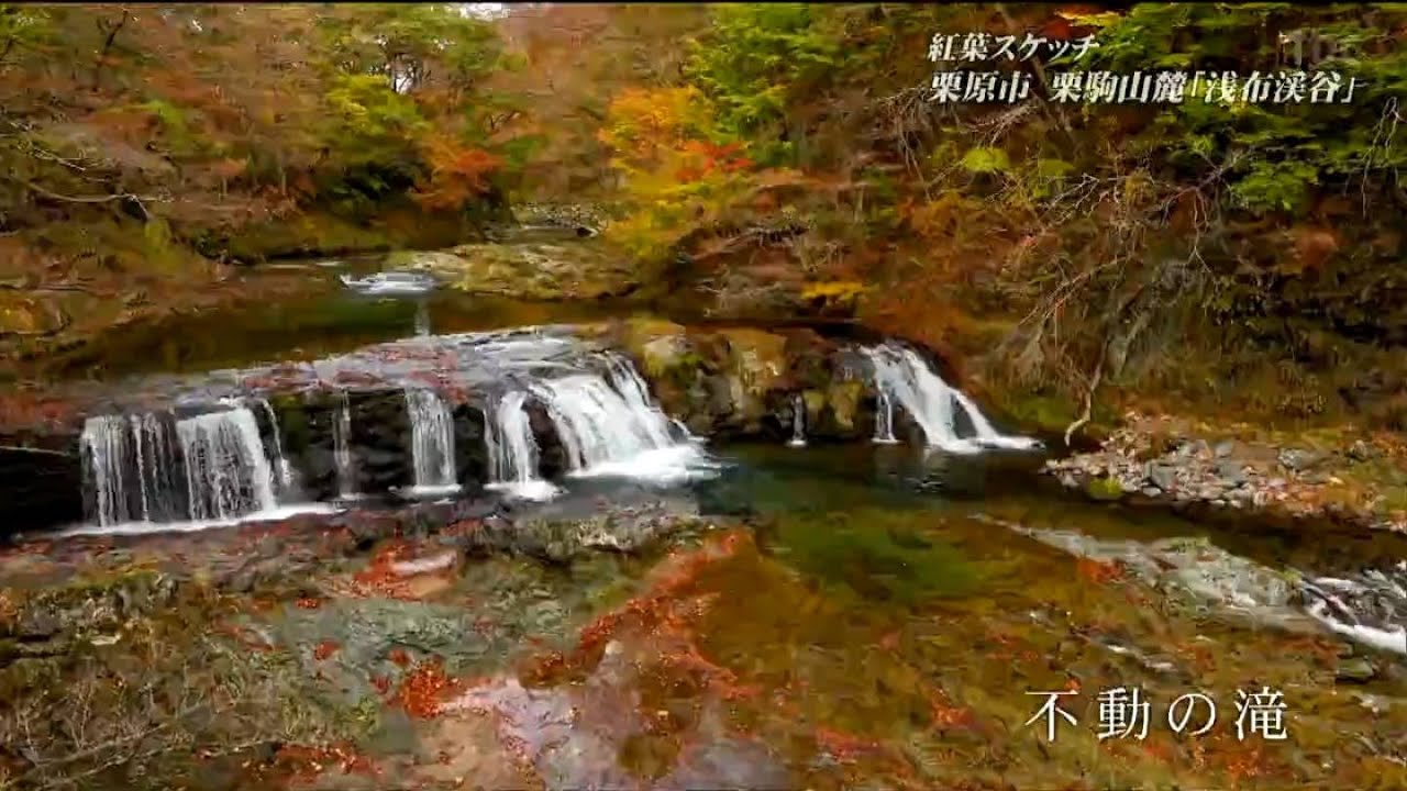 ZNE 血染めのぬかるみ 樹木茂る山麓 乾燥台地 沸騰する小湖 ボーダーレス ダイナミックに撮れる滝の一つ」浅布渓谷 清流と紅葉に抱かれて