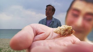 『変魚路 』予告　髙嶺剛監督18年ぶりの新作