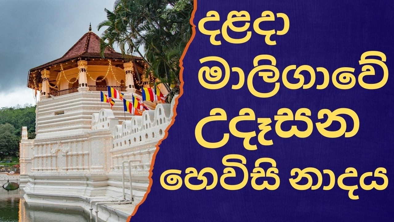දළදා මාලිගාවේ සවස් තේවා හේවිසි – හදවත පිරිසිදු කරන නාදය 🎵 SIRI DALADA THEWA HEVISI NADAYA
