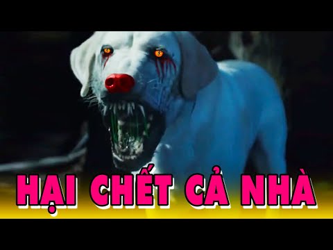 Video: Câu chuyện tuyệt vời về tình bạn kéo dài một phần tư thế kỷ giữa một thợ lặn Nhật Bản và một con cá khổng lồ