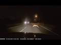 Close call with deer in Ford Explorer. Zero reaction time.