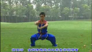 Wushu Nan Quan 1