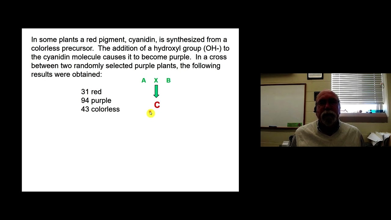 GG   Epistasis Part 4