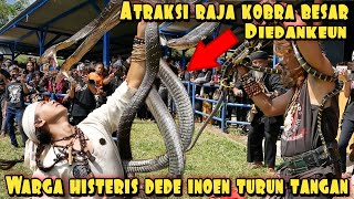 WARGA HEBOH TARZAN ATRAKSI PULUHAN KING KOBRA