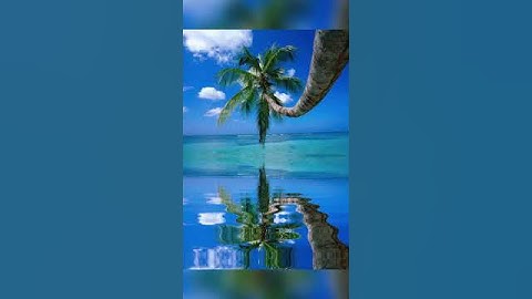 تلاوة من سورة غافر بصوت الشيخ خالد الجليل