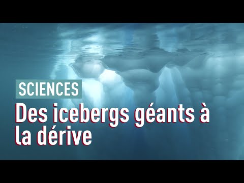 Vidéo: Elena Kuletskaya a été envoyée dans les icebergs