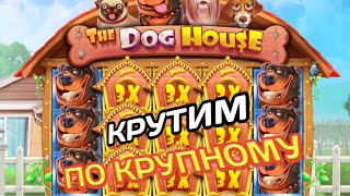 Крутим По Крупному В Игре The Dog House