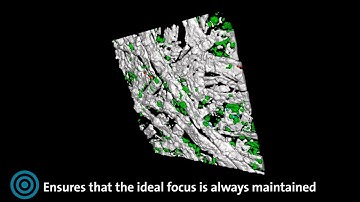 Focus Stabilization for Confocal Raman Imaging