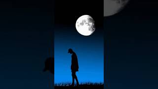 widom tree...Stop and look.#shortvideos #shorts #wisdom #tree #wisdomtree