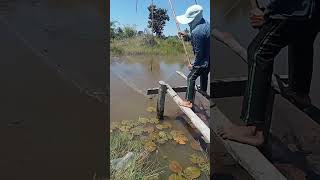 ยายตกปาຍາຍຕກປາ หลานอยรอยลาน