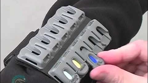 Chameleon Training Video