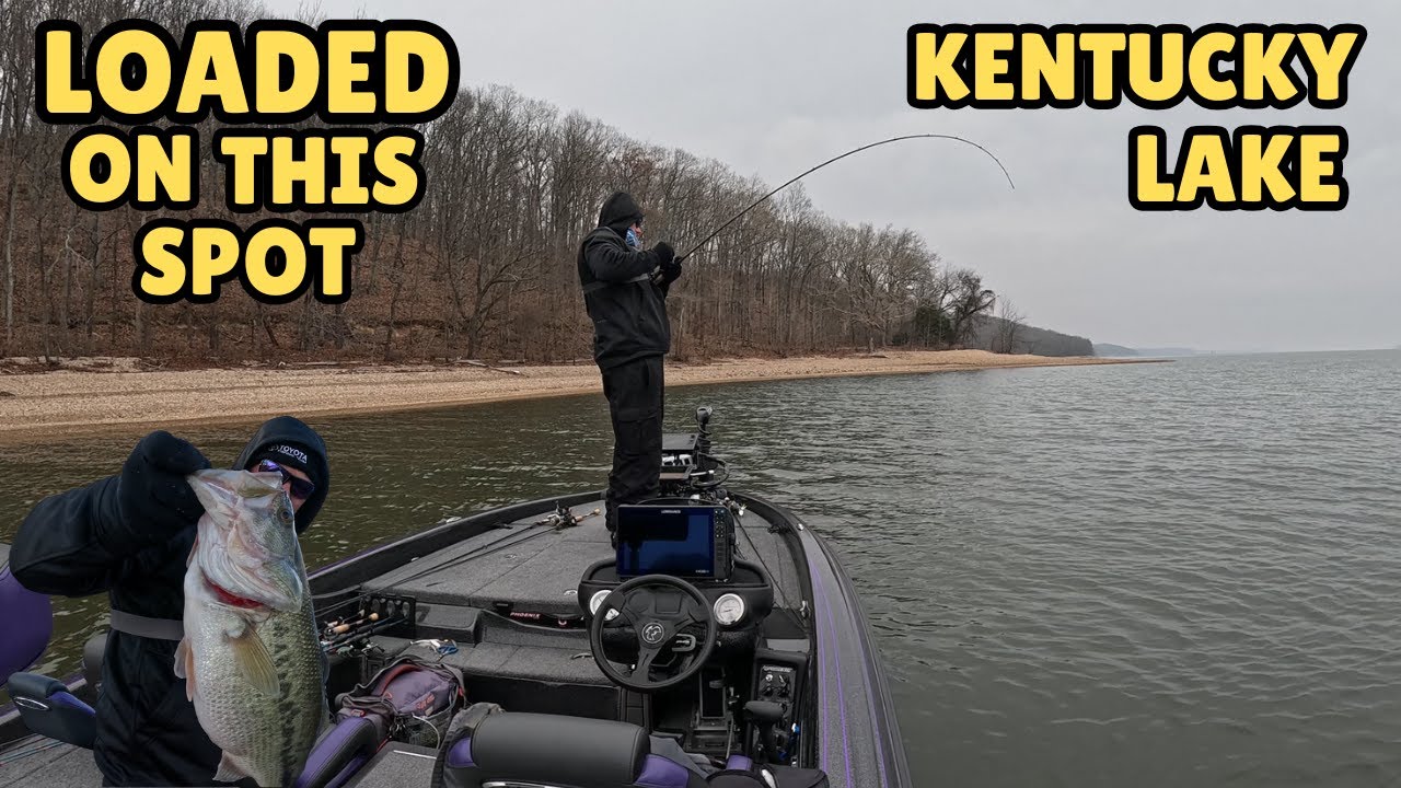 Мы нашли сонную яму на озере Кентукки (видео с LiveScope).