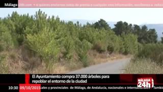 El Ayuntamiento compra 37.000 árboles para repoblar el entorno de la ciudad