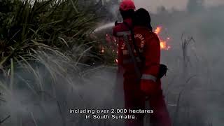 Indonesians brave choking smoke to pray for rain amid wildfires | HOY76 Cable News