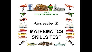Grade 2 Mathematics Skills Test