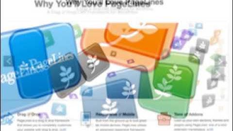 WordPress Themes: PageLines Professional 2.4