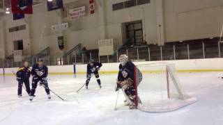 Predators training camp