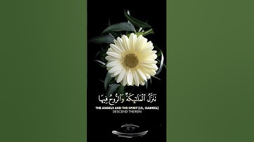 حالات واتس اب مقاطع قصيره قران كريم سورة القدر القارئ سعد الغامدي بدون حقوق #رمضان