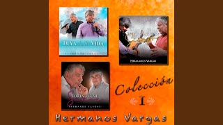 Video thumbnail of "Hermanos Vargas - Un Día a la Vez"