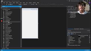 Efecto de Rebote en Visual Basic