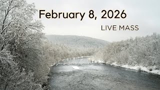 Feb. 8, 2026 - Fifth Sunday in Ordinary Time