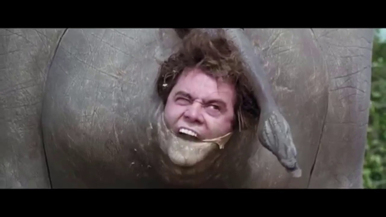 ace-ventura-rhino-scene-reversed-youtube