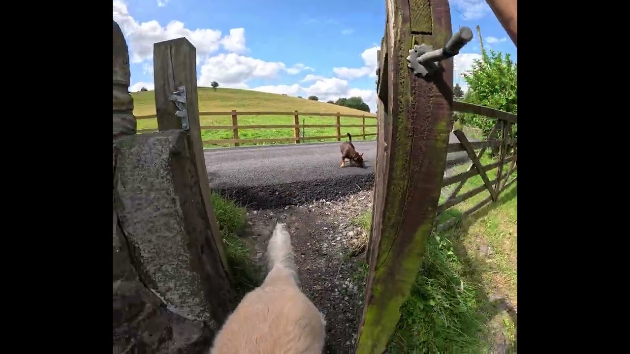 Beautiful moments - Glossop, Derbyshire - England