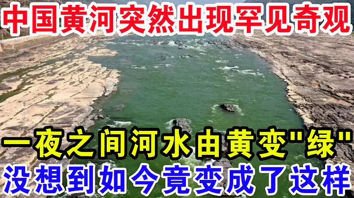 中國黃河出現罕見奇觀！一夜之間河水由黃變「綠」，沒想到如今竟變成了這樣 - 天天要聞