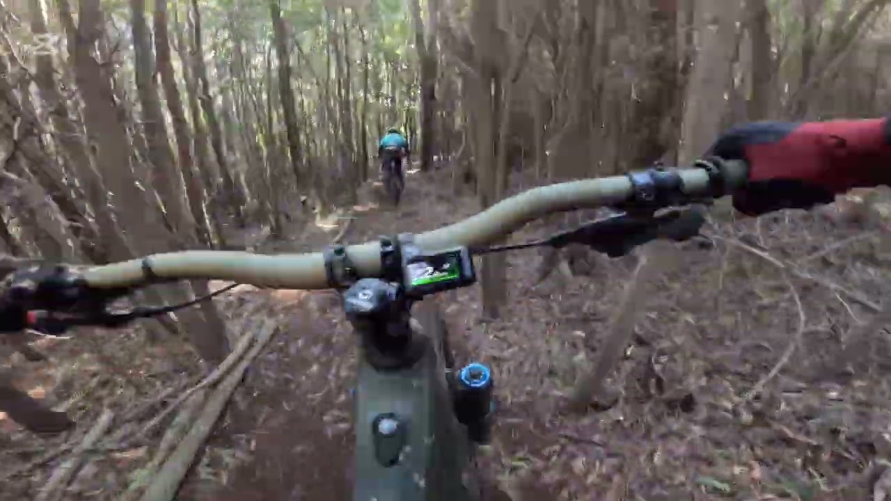 Sintra trails - Yakuza 