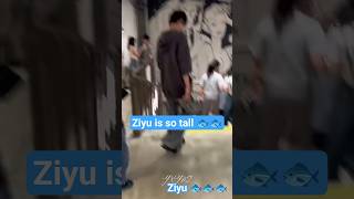 Ziyu  ziyu wusuowei zhengpeng revengedlove tianxing tianziyu