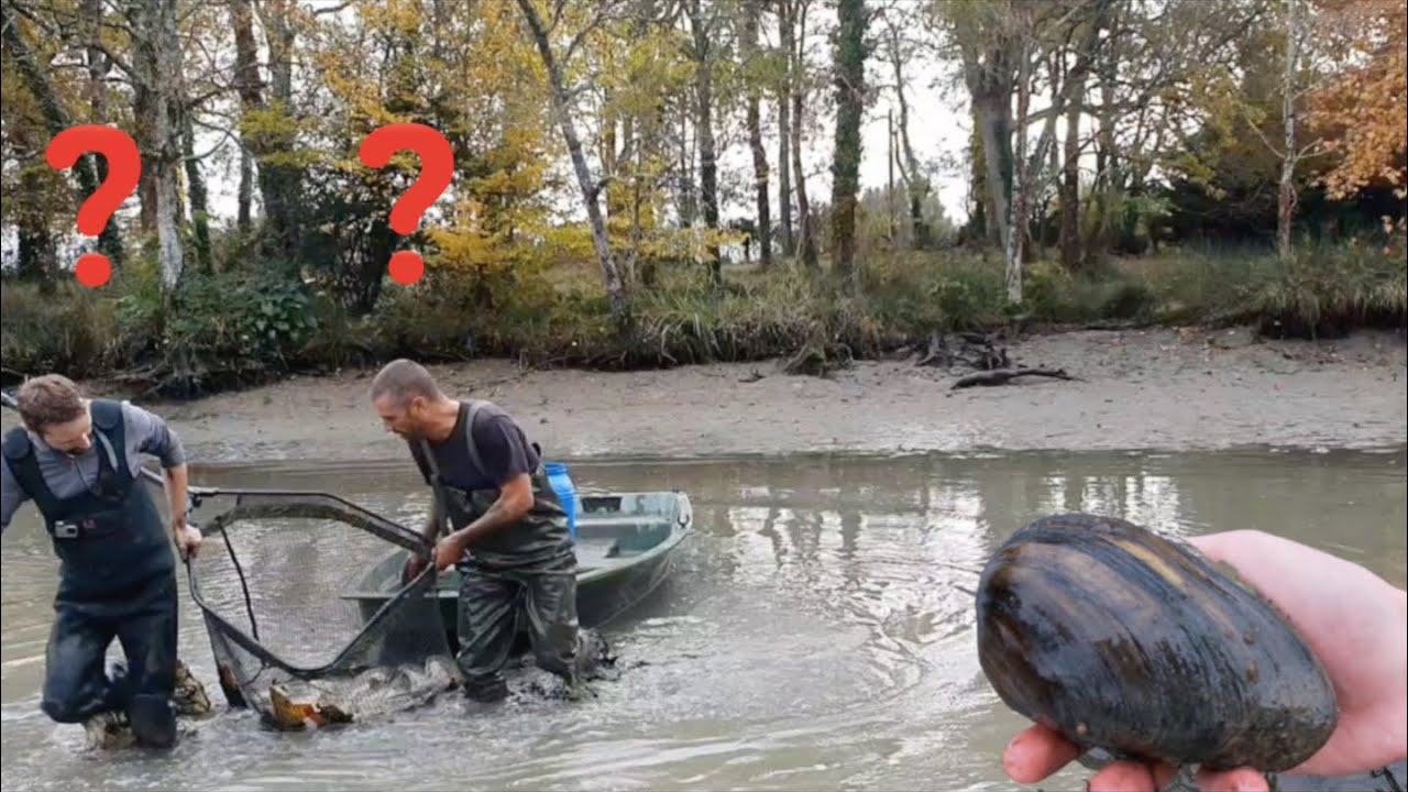 On VIDE un étang (et on HALLUCINE...)